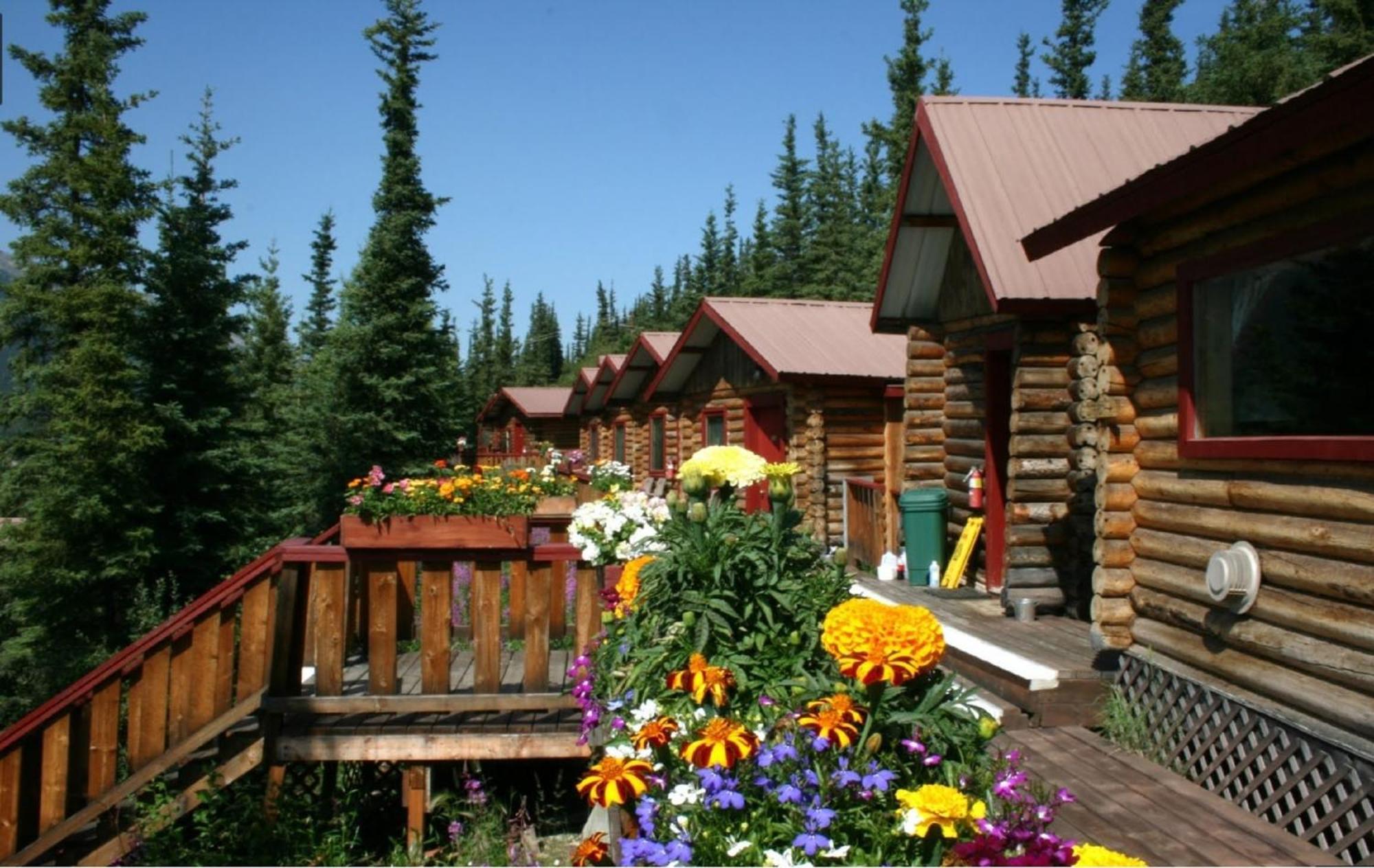 Denali Crow'S Nest Cabins Denali Park Dış mekan fotoğraf
